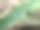 特写清晨树叶上的露珠图片下载