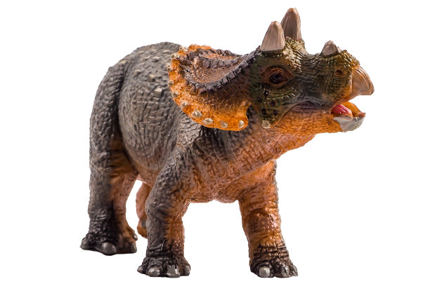 三角龙，白色背景下的恐龙。剪切路径图片下载