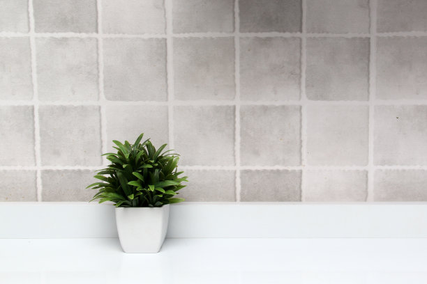 白色花盆，绿色植物，白色背景，灰色方块作为极简主义的桌面或厨房背景图片下载