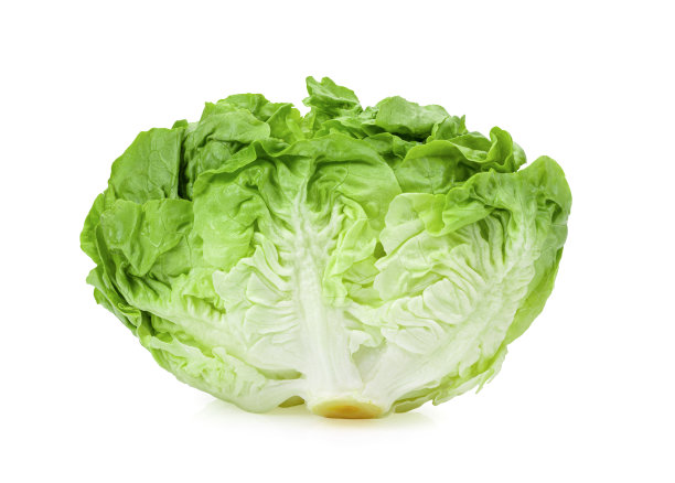 白面包上的新鲜生菜图片下载