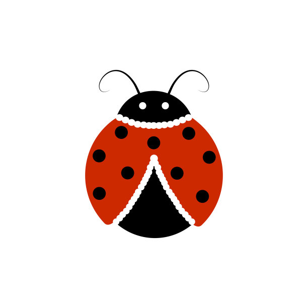 瓢虫隔离瓢虫可爱图片下载