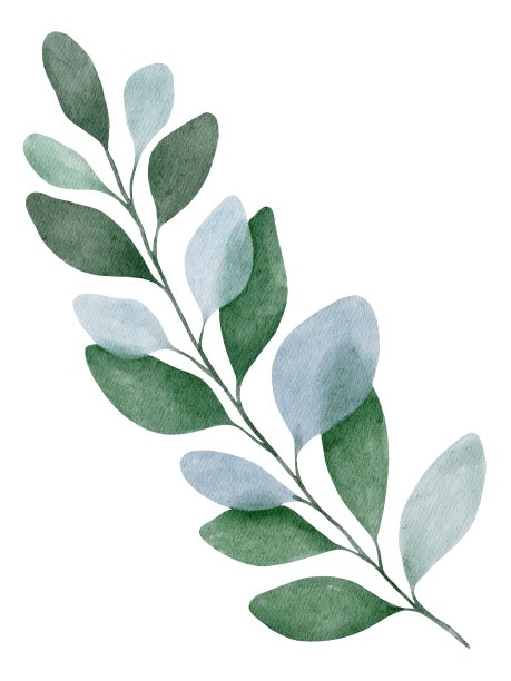 手绘水彩美丽的绿色蓝色植物孤立在白色背景。用于海报，卡片，印刷，纺织，模板，面料，图案，贴纸，婚礼，庆祝，生日图片下载