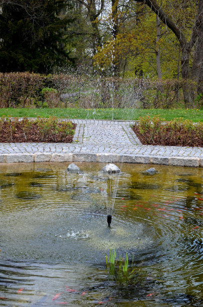 圆池内有观赏性锦鲤鱼。有一个种植玫瑰的区域。中间是一个喷泉。为在鹅卵石。背景是树的小巷图片下载