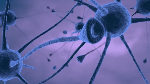 3D渲染，蓝色的神经系统传输信号图片下载