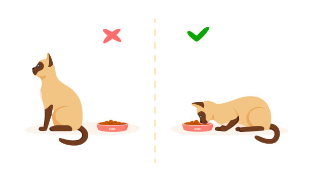 有好胃口和坏胃口的猫。挑剔的猫拒绝吃东西，饥饿的猫吃碗里的食物。饲养宠物的问题概念。平面风格矢量插图图片下载