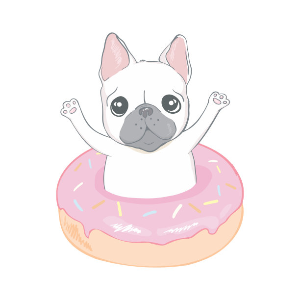 可爱的斗牛犬和甜甜圈在孤立的白色背景。图片下载