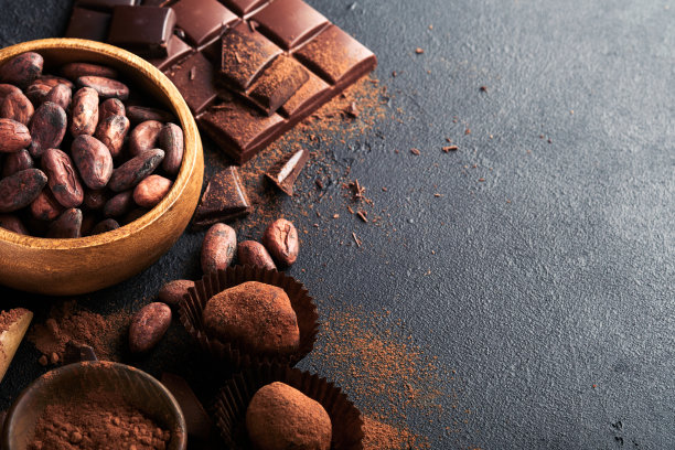 巧克力豆可可。可可粉、可可豆和不同成分的牛奶和黑巧克力在黑色的背景。烘焙巧克力口感。带有复制空间的俯视图。模拟。图片下载