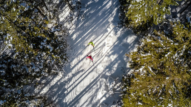 两个越野滑雪者在森林里的滑雪道上训练图片下载