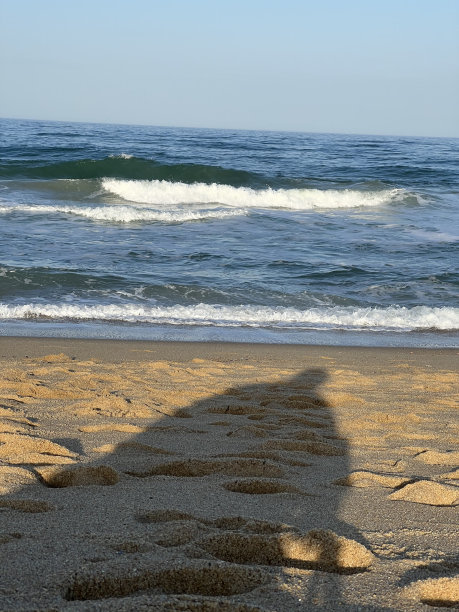 海滩上的影子图片下载