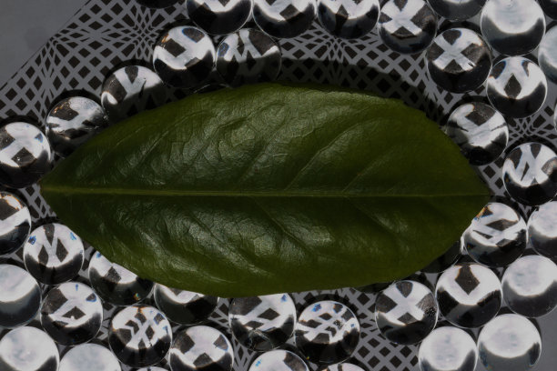 绿叶上抽象的黑白背景，复制空间，生态设计图片下载