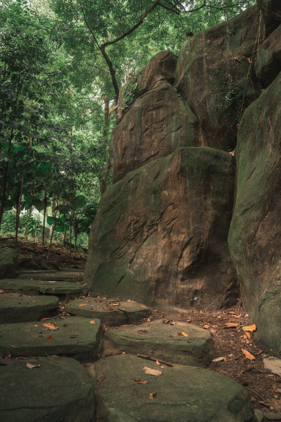 森林里巨大的岩石和石阶图片下载