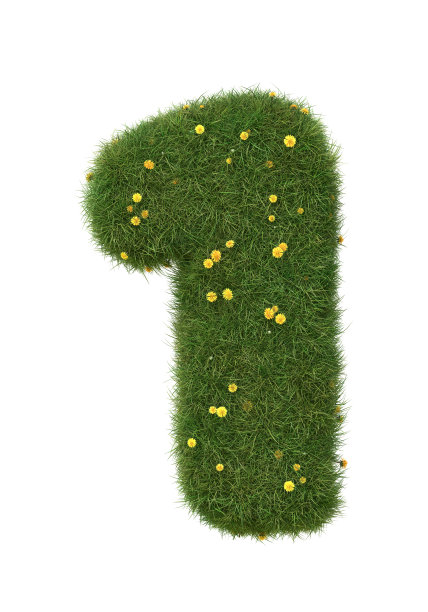 现实草数字孤立在白色背景。收集。图片下载