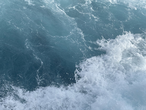 海洋之后图片下载