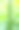 春天的芝麻田图片下载