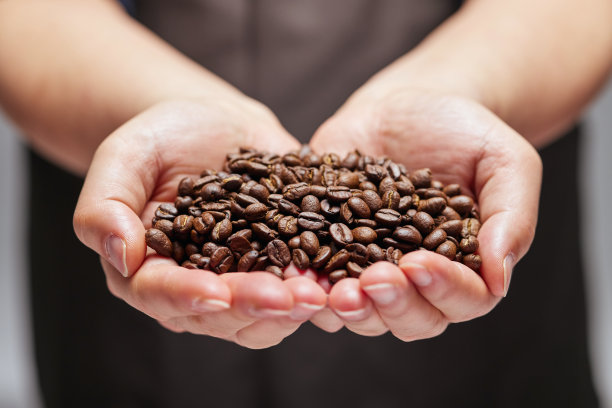 手持咖啡豆的男子特写图片下载
