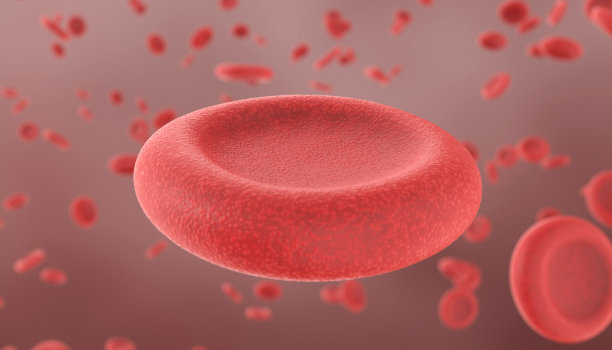 流动的红细胞图片下载