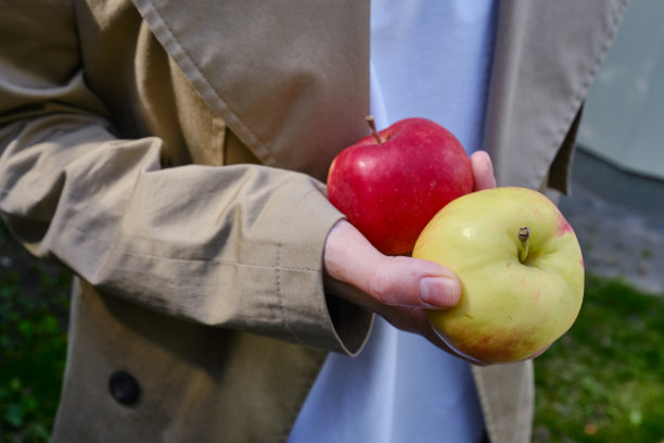 年轻女孩手中的有机美味苹果。适当的营养，生食饮食。农产品。健康的生活方式。芳香的红苹果特写。在花园里采摘成熟的水果。环保产品图片下载