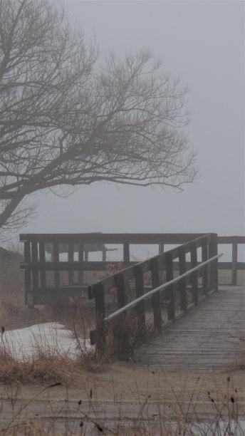 家乡湖畔/公园图片下载