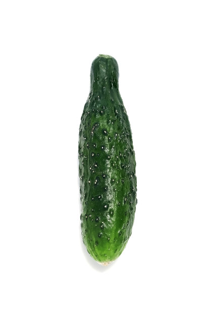 丑陋的蔬菜，一个绿色的黄瓜孤立在白色的背景。图片下载