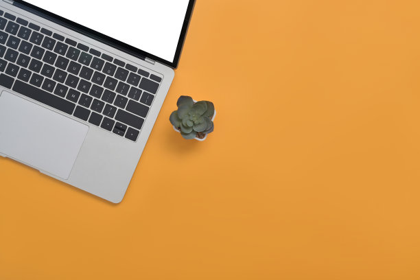 笔记本电脑和肉质植物在黄色背景与广告文本拷贝空间。图片下载