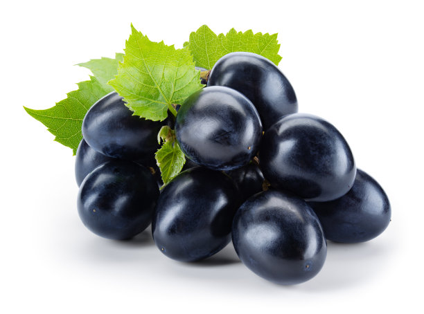 深蓝葡萄分离。新鲜的黑色葡萄，白色的叶子。剪切路径。全景深。图片下载