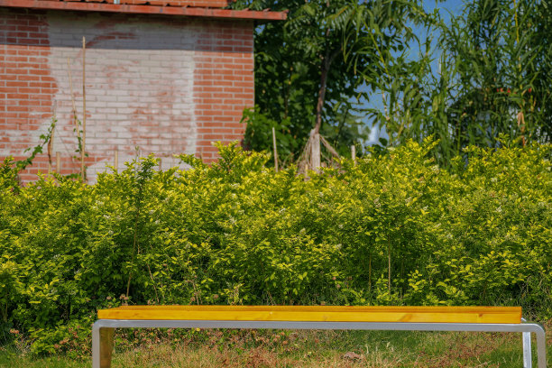 阳光明媚的日子里，一座拥有桥梁、草坪和现代建筑的现代公园图片下载