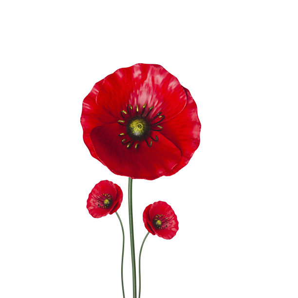 花朵由铁金属铝制成，孤立在白色背景上，剪出“r”图片下载