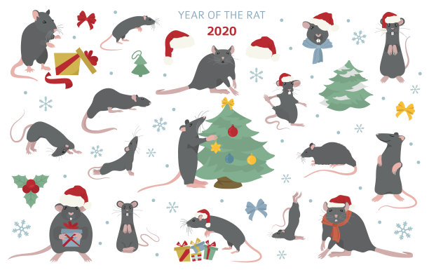 不同的老鼠圣诞收集老鼠的姿势和图片下载