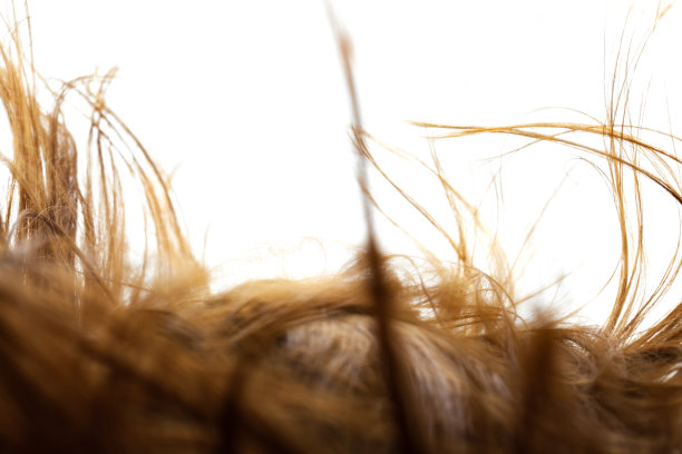 多风的头发。摘要近毛白色背景。图片下载