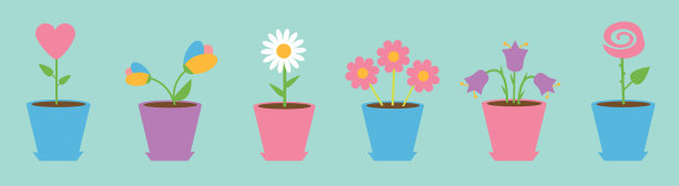 花盆设置线雏菊洋甘菊郁金香玫瑰图片下载