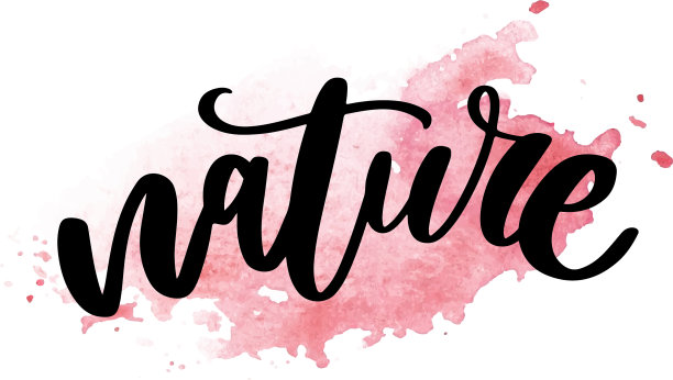 天然产品贴纸-手写现代图片下载