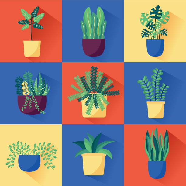 室内植物装饰设计图片下载