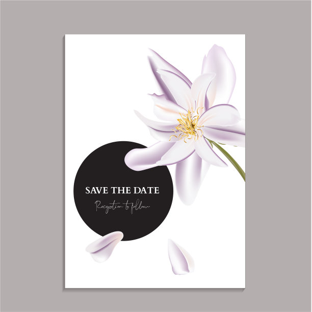 绿叶柔紫木兰花贺卡图片下载