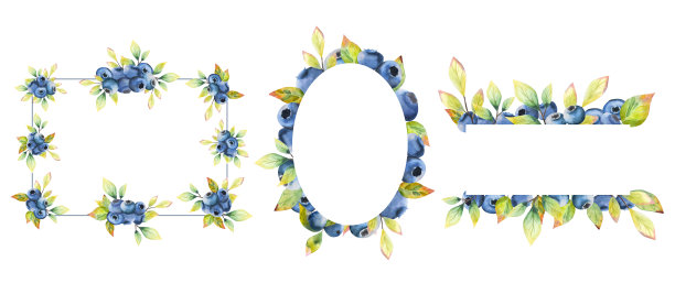 水彩模板。搭配成熟的蓝莓和香草。文本、明信片、照片的框架。集图片下载