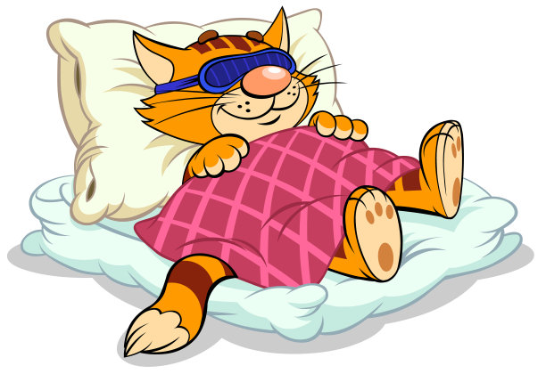 猫在毯子下睡觉。图片下载