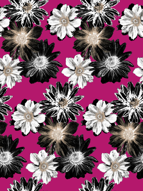 无缝花朵图案，纹理印花。图片下载