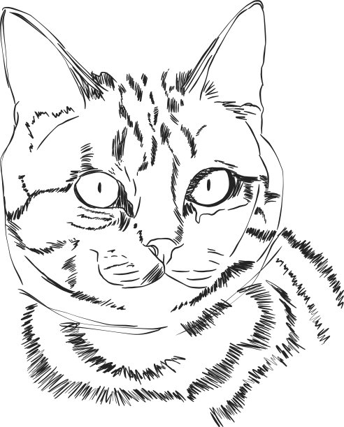 猫头线条图图片下载