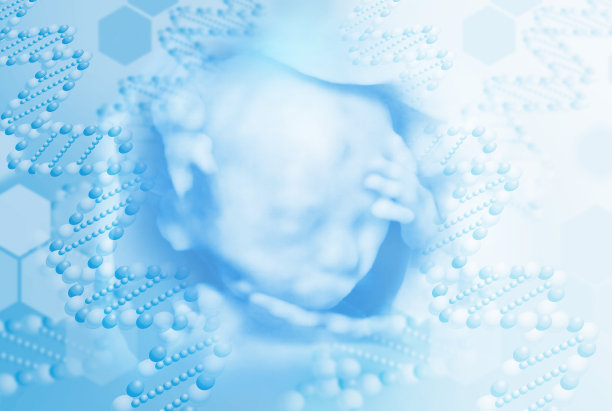 胎儿的3D图像图片下载