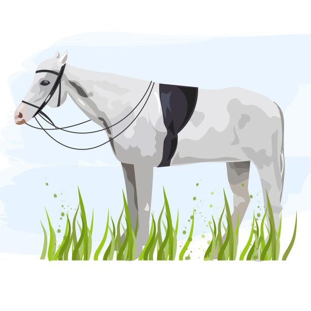 马孤立的动物图标模板图片下载