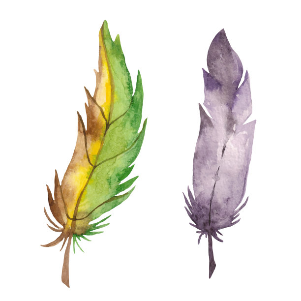手绘水彩羽毛图片下载