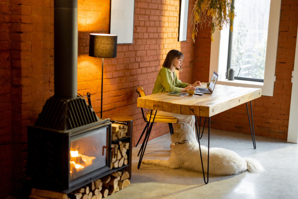 女人在有壁炉的舒适客厅里用笔记本电脑工作图片下载