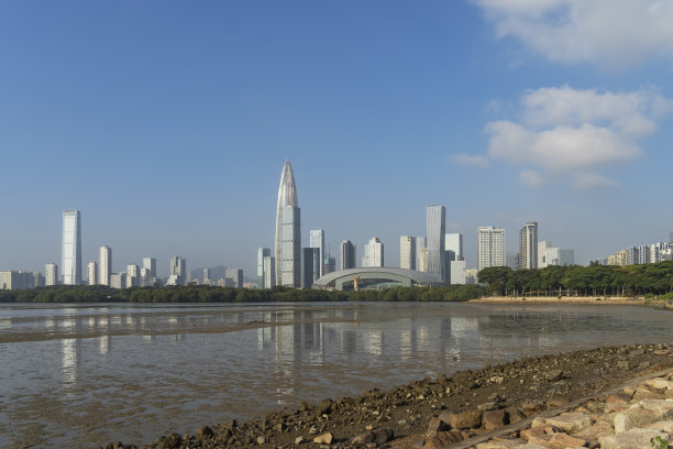 公园在中国深圳市，美丽的绿色树木结合建筑，现代建筑，完全蓝色的天空。图片下载