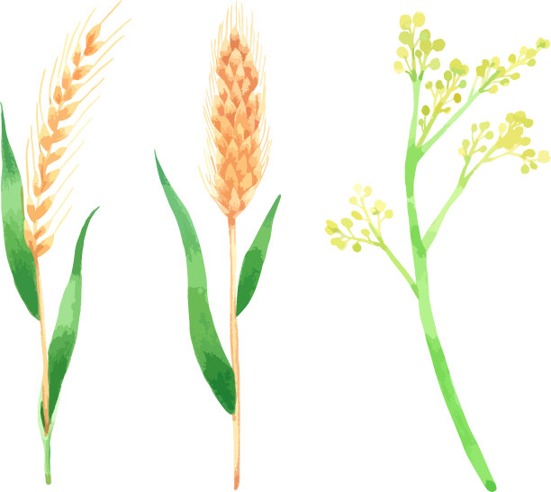 米水彩手绘设计图片下载