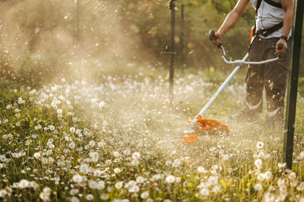 阳光明媚的日子，一个年轻人在自家后院用农具割草图片下载