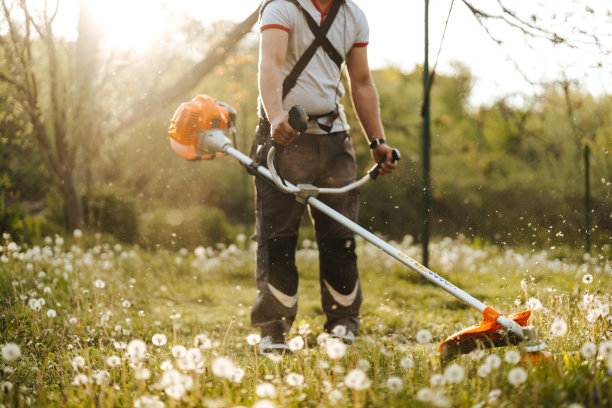 阳光明媚的日子，一个年轻人在自家后院用农具割草图片下载
