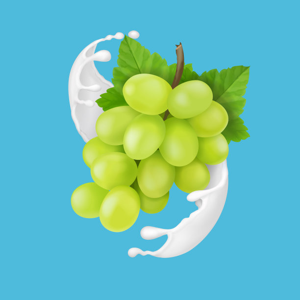 绿色葡萄枝在酸奶或牛奶飞溅图片下载