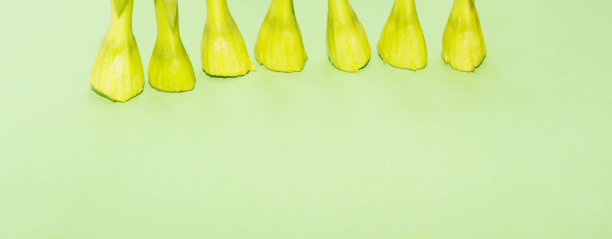 排黄色和绿色细长形状的花在前景，背景文字图片下载