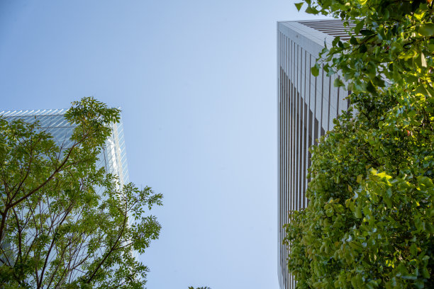 东京市中心的新鲜绿叶和摩天大楼图片下载