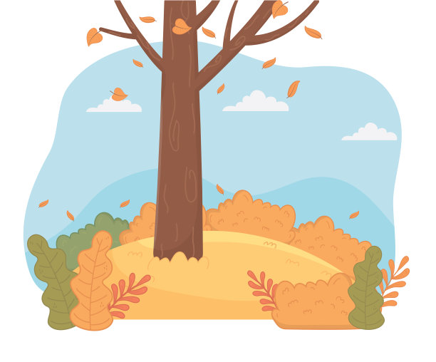 森林秋高气爽的季节景色如画图片下载