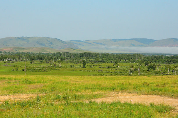 在一个温暖的夏天，山脚下白桦林边缘的一大片空地。图片下载